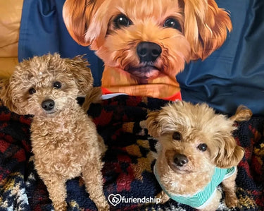 Custom dog blanket - Furiendship